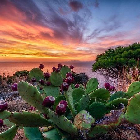 Capraia Isola المظهر الخارجي الصورة